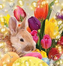 With tenor, maker of gif keyboard, add popular gif animated gifs to your conversations. Apotelesma Eikonas Gia Xristos Anesth Gif Happy Easter Easter Rabbit