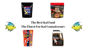 What's the best koi food? The Best Koi Food 2021 Updated 7 Analyzed And Reviewed Aquariumstoredepot
