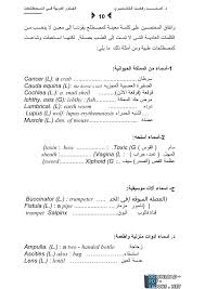 كتب تعليم اللغة الانجليزية مكتبة مدون الالكترونية