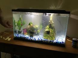 Bettas typically live in what's called blackwater environments where the water is a dark brown color. I Just Got A Beta Fish Yesterday And The Tank Is All Cloudy Is This Normal What Should I Do Please Help Thanks Bettafish