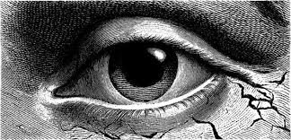 Image result for artistic divergence eyeballs
