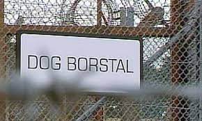 Dog Borstal Next Episode Air Date & Countdown