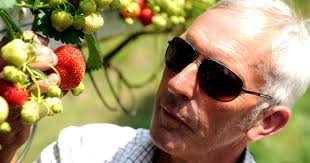 BIG INTERVIEW: Fruitful work ethic for farm manager