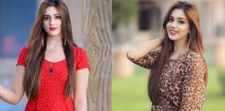 We did not find results for: Fia Arrests Man In Lahore For Leaking Fake Images Of Jannat Mirza