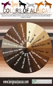 Alpaca Fibre And Alpaca Colour Chart Alpaca Facts Alpaca Alpaca Farm