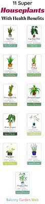 Research suggests we spend more than 85 all areas of our wellness are interconnected. 11 Low Maintenance Houseplants With Health Benefits Balcony Garden Web