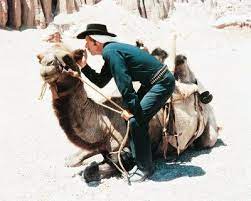 The duke of edinburgh's life, legacy and how he will be remembered. Pin On I Love Cowboys 2