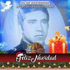 where to find fruit trees for sale