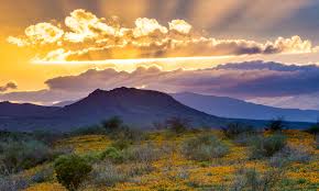 San Carlos Apache College The Higher Education Institution Of The Apache People