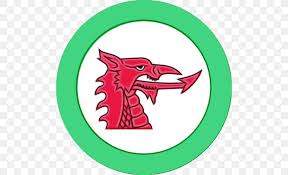 Improve your geography skills or find resources for a project with our free pictures of flags from countries around the world. Welsh Dragon Png 500x500px Wales Cartoon Country Flag Flag Of Pakistan Download Free