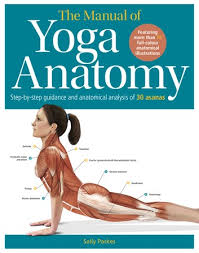 Read pdf anatomy and physiology coloring workbook answers chapter 7qualifying offers. The Student S Manual Of Yoga Anatomy Ebook By Sally Parkes 9781631591747 Rakuten Kobo United States