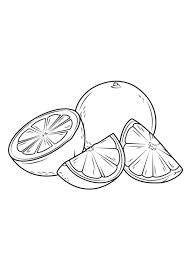 Play the best coloring games for children. Coloring Pages Orange Fruit Coloring Page For Kids