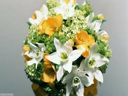 Bunngiorno whatsapp con i fiori immagini del buongiorno su whatsapp da condividiere oggi buongiorno sacre per whatsapp condividi suoi emozione con tutti. Mazzo Di Fiori Per Whatsapp