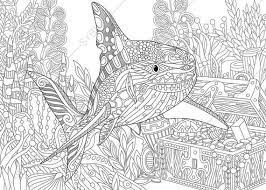 Adult antistress coloring page with shark. Pin On School