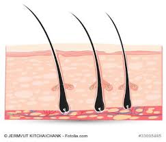 Art naturals' argan oil shampoo. Does Shaving Make The Hair Grow Back Thicker Secret Skin Studio