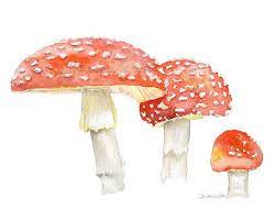 The word easy in stoner easy trippy paintings applies to relatively everyone. Toadstools Watercolor Painting Reproduction 7 X 5 Giclee Etsy Watercolor Paintings Mushroom Art Landscape Drawings