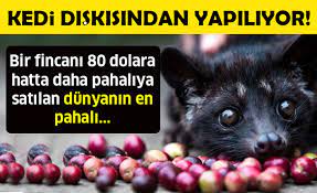 kedi diskisindan yapiliyor fincani 80 dolar