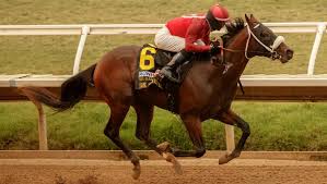 How's that for a famous appaloosa name? Interesting Racehorse Names On 2021 Triple Crown Trail America S Best Racing