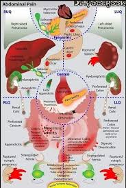 Pin On Health