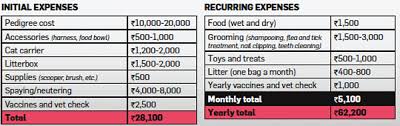 Want To Know The Real Cost Of Keeping A Pet Find Out The