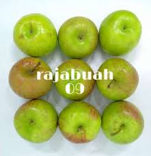 50 gambar apel merah dan hijau 12 12 2019 ini adalah apel merah dan hijau di dalam keranjang yang di posting pada december 12 2019 oleh roman kamelove memiliki kategori nah selain dibawah ini juga ada gambar. Buah Apel Malang Harga Terbaru Juli 2021 Blibli