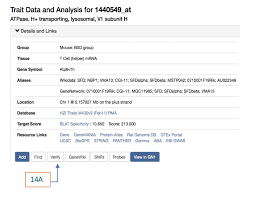 A tool by matt gaidicamatt gaidica 2
