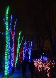 Lane Of Lighted Trees At The Toledo Zoo Lights Before Christmas Holiday Lights Holiday Fun