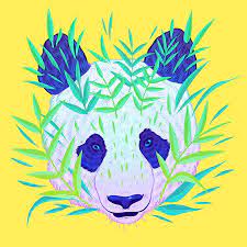 Pin On Endangered Animals Poster