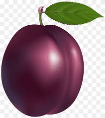 common plum png images pngwing common plum png images pngwing