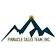 Pinnacle Sales Team logo