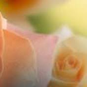 Lightle Family Obituaries