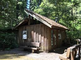 There are also 4 cabins, 5 hike/bike sites and group camping available. Jedediah Smith Visitor Center Redwood National And State Parks Recreation Gov