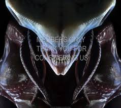 Dec 20, 2019 · the wallpaper is instantly changed for your chosen screen(s). Phoenix Point Wallpaper 03 1080p Horizontal