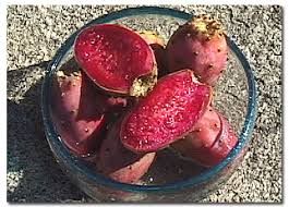 Prickly Pear Jelly Marmalade Recipes Using Prickly Pear Juice Desertusa Stories News