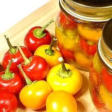 Chili Tomaten Ol Rezept Kalte Speisen Chili Gefullte Paprikaschoten