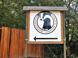 Anholter Schweiz Biotopwildpark In Isselburg Verpottet Schweiz Zwergziegen Marderhund