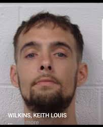 Allegany busted: WILKINS, KEITH LOUIS Times Booked :: 3 DOB :: 10/21/1987  (30) Race/Sex :: W/M July 7, 2018 :: DISORDERLY CONDUCT August 6, 2013 ::  ASSAULT June 22, 2013 :: CONSPIRACY *