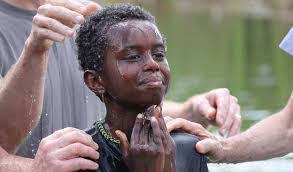 Fred Niedermeyer's Instagram, Twitter & Facebook