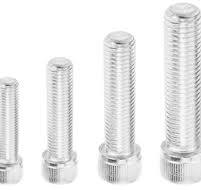 Ideal Vacuum | Silver Plated Socket Head Cap Screws, By Bolt ...