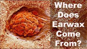 Where Does Earwax Come From? - YouTube