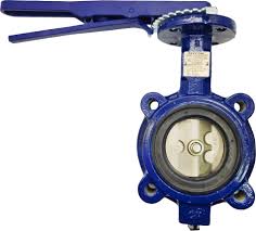 Butterfly Valve, Lug Style, 2IN, CI Body, 316SS Disc, EPDM ...