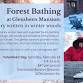 Forest Bathing at Glensheen