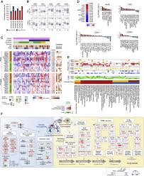 How many forms of combating malaria other methods of prevention include handwashing and not smoking. Proteogenomics Of Non Smoking Lung Cancer In East Asia Delineates Molecular Signatures Of Pathogenesis And Progression Sciencedirect