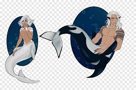 Download gambar sketsa ikan lumba lumba. Porpoise Mermaid Kartun Anak Putri Duyung Mamalia Laut Anak Png Pngegg