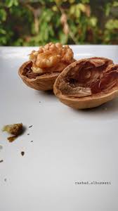 طبخ طعام اكل شواية طبخي مطبخ طبيخ كبسة رز هندي بخاري مندي حلا كيك كعكة طباخ مطبخي food breakfast muffin