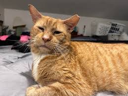 April Seese's Instagram, Twitter & Facebook