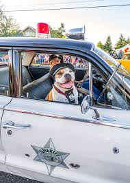 Cruise time in Battle Ground