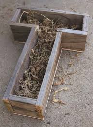 How To Build Your Own Succulent Letter Garden Mother Earth Living Succulents Mother Earth Living Garden Projects