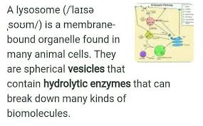 We did not find results for: Vesicles Having Hydrolytic Enzymes In It Are Called Brainly In