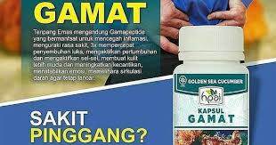 Pin Di Proyek Untuk Dicoba